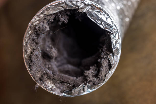 Best Air Duct Cleaning Near Me  in Schoolcraft, MI
