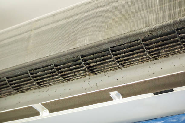 Best Dryer Vent Cleaning Services  in Schoolcraft, MI