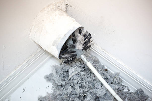 Best Local Air Duct Cleaning Services  in Schoolcraft, MI