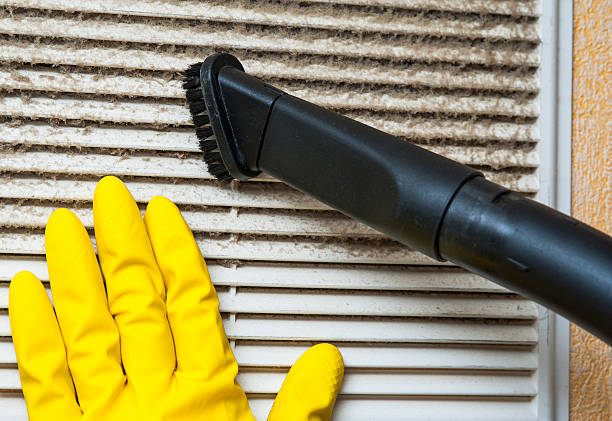 Best Air Duct Cleaning Company Near Me  in Schoolcraft, MI